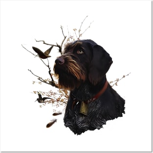 German Wirehaired Pointer Posters and Art